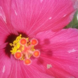 Meet your Posher, Cathy